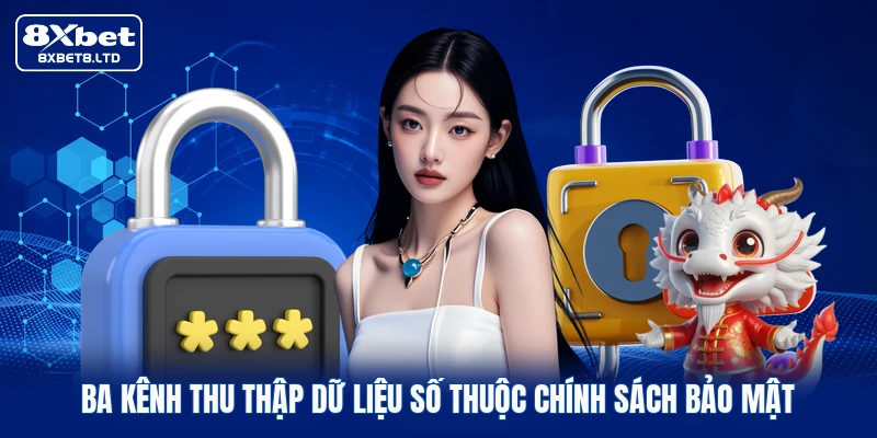 Ba kênh thu thập dữ liệu số thuộc chính sách bảo mật