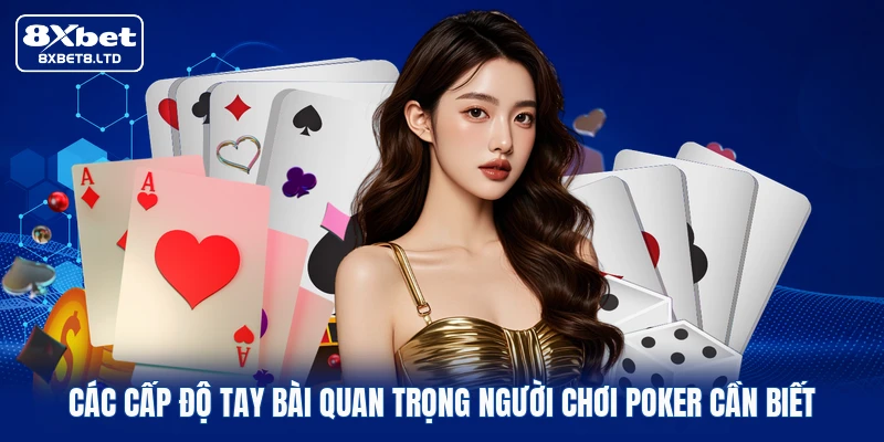 Các cấp độ tay bài quan trọng người chơi Poker cần biết