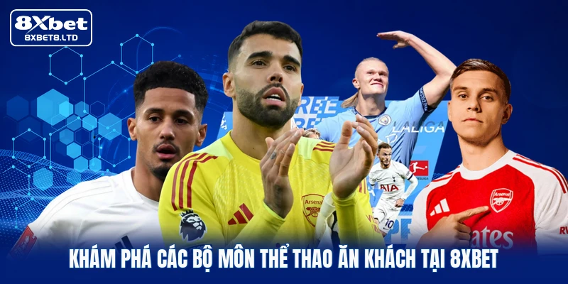 Khám phá các bộ môn thể thao ăn khách tại 8xbet